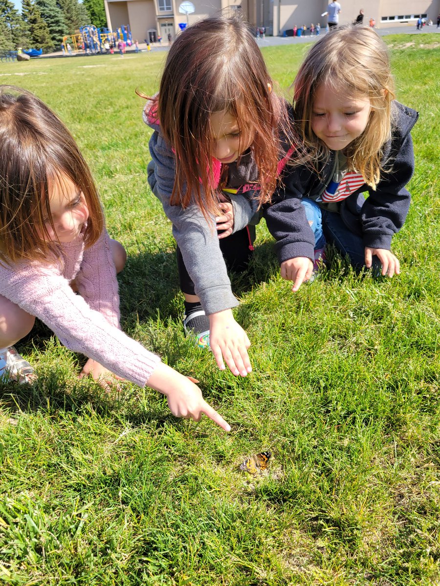 So many emotions setting the butterflies free. All five of them flew away. #wcsflight