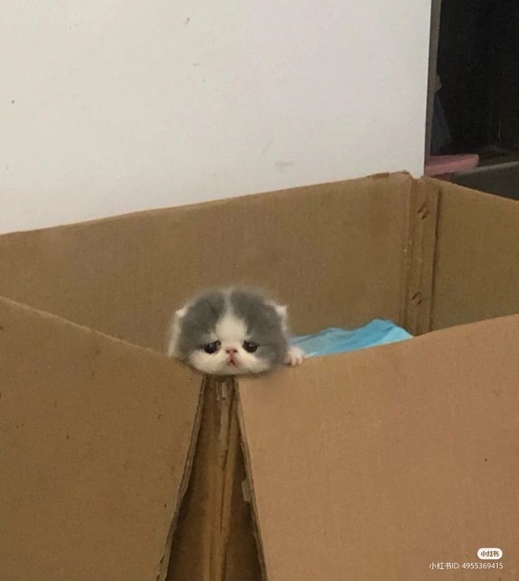 Baby . Is so lobnely...so lonely,  auuuuuu 
Ime,  no wanna bein,  so lonnely