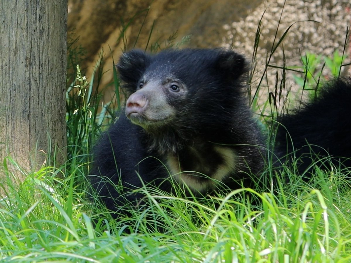Philly Zoo tweet media