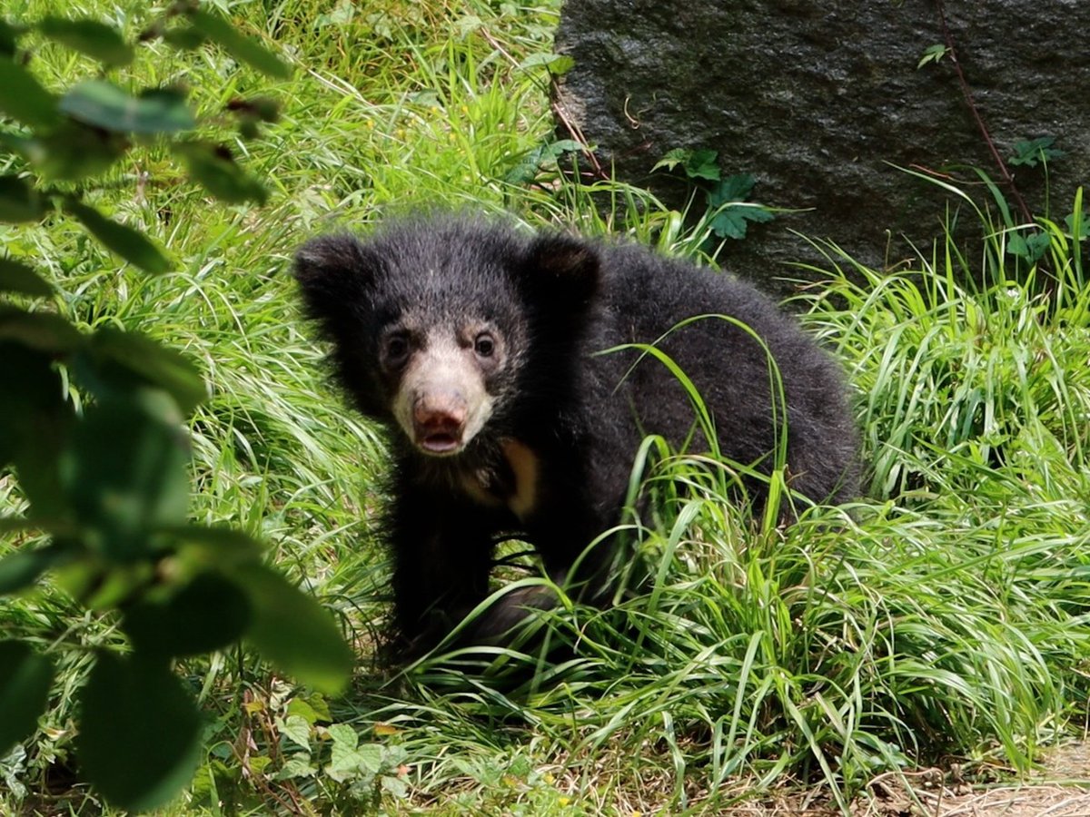Philly Zoo tweet media