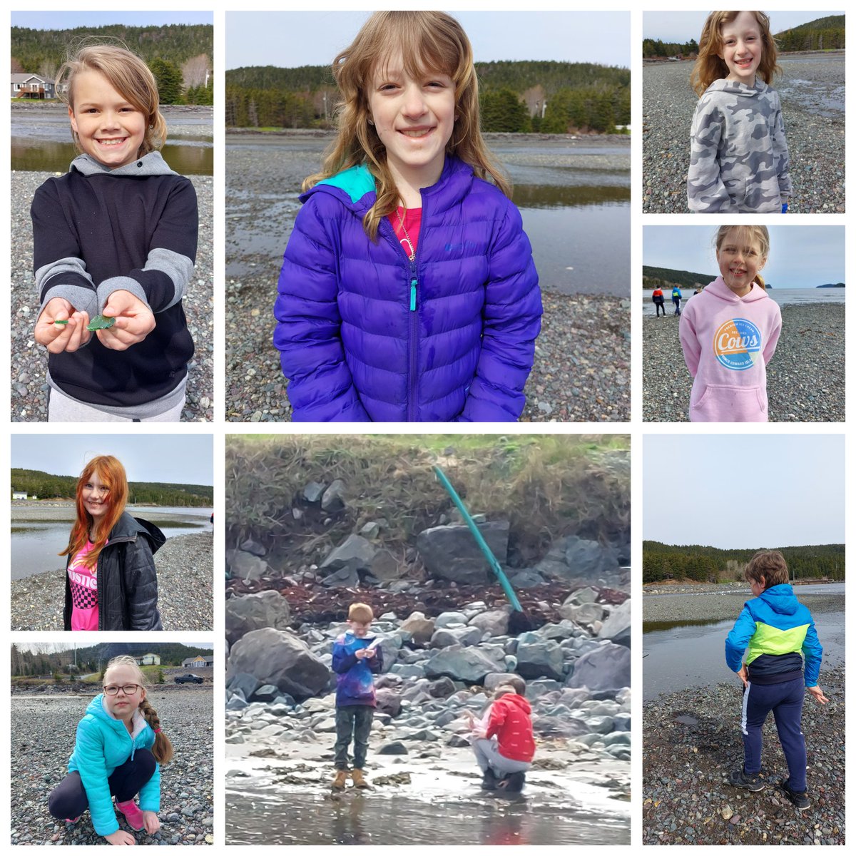 lmcrawley's tweet photo. Amazing science exploration at the beach @ICSColliers #PlantLife #AnimalLife Even Mr.Crane came to examine treasures discovered!!  #OceanPlayground Finally, we picked up some garbage on the way back. #KeepOurEarthClean https://t.co/aw2osQaP7F