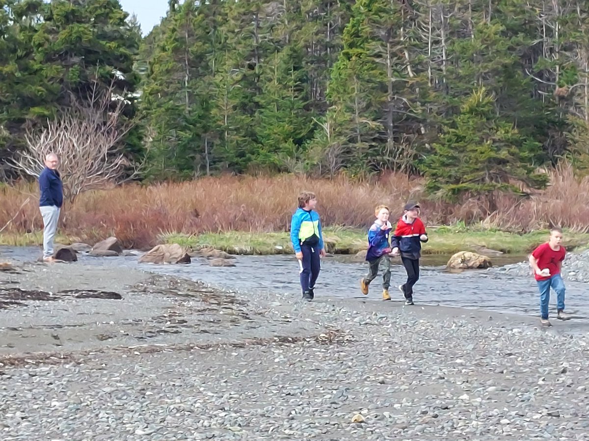 lmcrawley's tweet photo. Amazing science exploration at the beach @ICSColliers #PlantLife #AnimalLife Even Mr.Crane came to examine treasures discovered!!  #OceanPlayground Finally, we picked up some garbage on the way back. #KeepOurEarthClean https://t.co/aw2osQaP7F