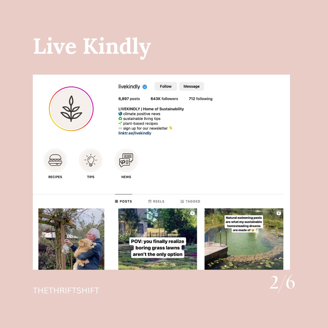 TheThriftShft's tweet photo. As we reach the end of our campaign, here are some inspiring pages to follow to continue your sustainable fashion journey 💚🫶✨ @livekindlyco @GoodOnYou_App  @Goodbyes 

#zerowaste #sustainablefashion #ecofashion #slowfashion #zerowastemovement https://t.co/JNHO9xM2vk