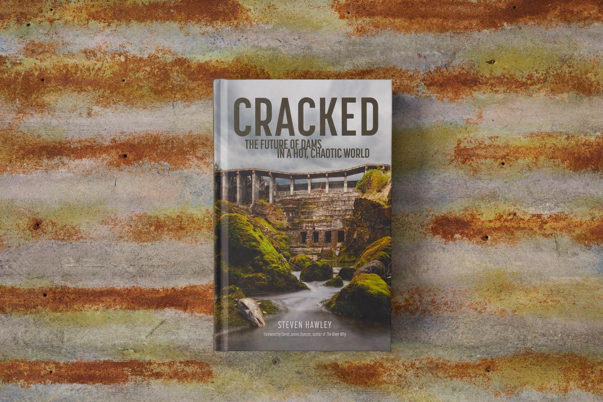 Thanks to @ArcGISStoryMaps, readers can now explore Steven Hawley's new book, CRACKED: The Future of Dams in a Hot, Chaotic World, with interactive maps and 3D scenes. 

Take a look here and investigate dams and their impact like never before 🗺
ow.ly/1RJT50OsWTB