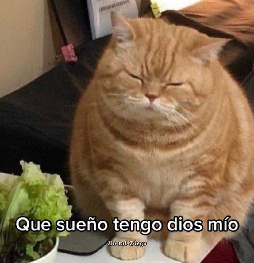 Guarromantico_'s tweet photo. Yo después de cualquier comida: https://t.co/ZAzN4iMVgs