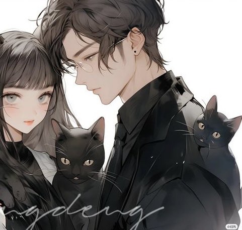 pfpicons on X: I really like cats #kittens #cats #anime #pfp #discord  #matching #awe #romance #fictionalmen  / X