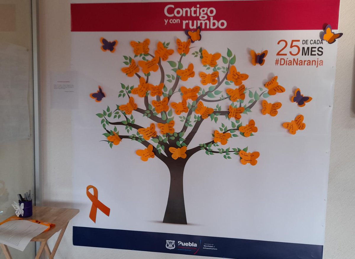 Secretaría de Movilidad e Infraestructura tweet media