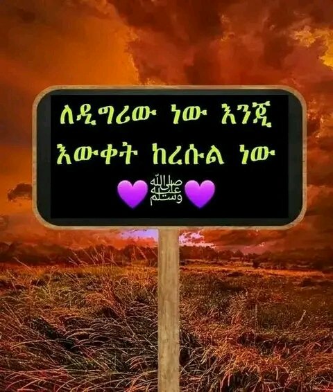 Nesru Yimam (@nesruyimam) on Twitter photo 