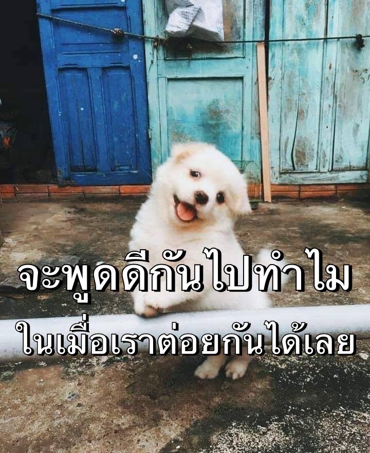 http_1day's tweet photo. 55555555555555555555555555555555555555555555555555555555 https://t.co/VXGDD6bhNV