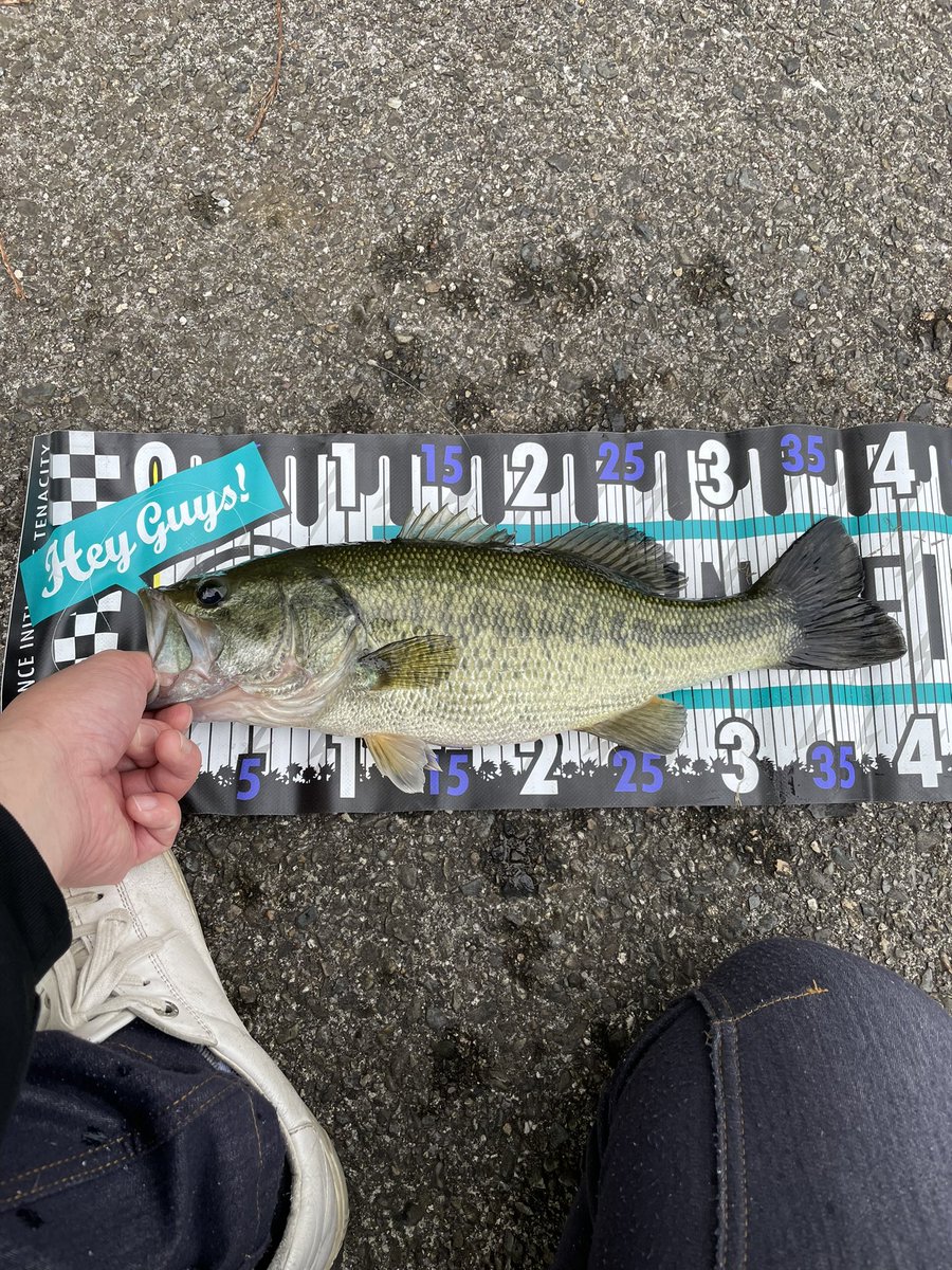 L3EiSQUoBq49gF1's tweet photo. 本日の最大魚はNW99で!
#LUCKオリカラ
#パープルヘッド
#ラッキークラフト
#NW99 https://t.co/vQvvyETExj