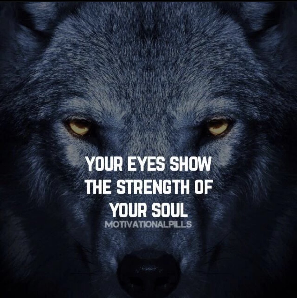Your Eyes. #FridayMotivation #thoughtoftheday #quoteoftheday #quotetoliveby #wolfquotes #wolfeyes #wolfmoon #wolfpack #motivational #inspirational #soulquotes #strength #bestrong
