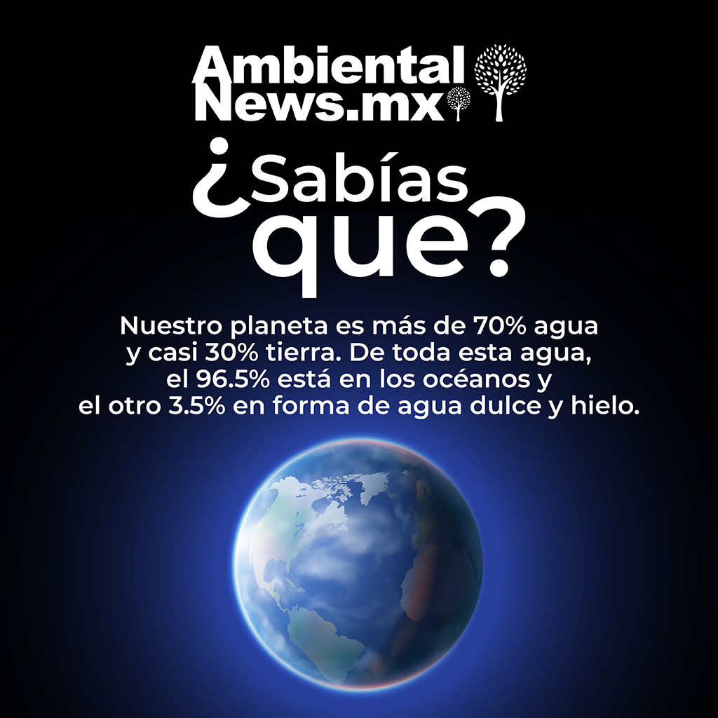 Por eso también recibe el nombre de “planeta azul”. #PlanetaAzul #AguaDulce #AguaSalada #PlanetaTierra #Sabíasque