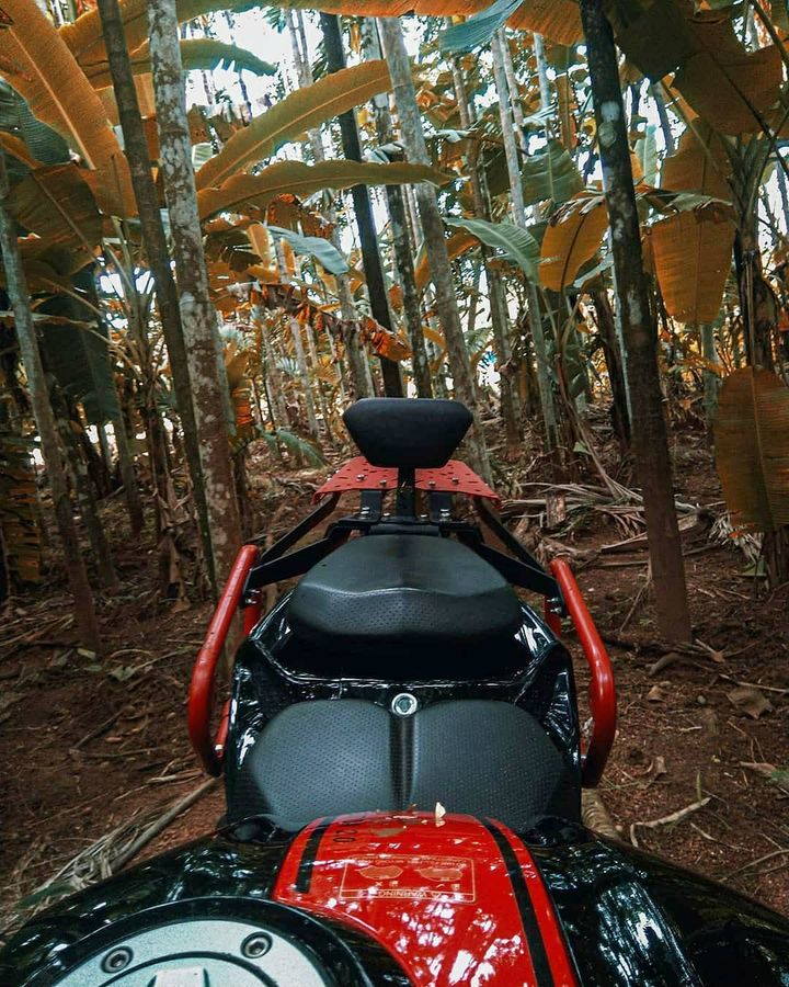 Escape into Nature..!
Pillion Backrest, Top Rack & Saddlestay Combo For Apache 200/160 4V from LLUVIA

Order online at lluvia.in

#lluviaindustries #rideyourswag #apache2004v #apache200 #apache2004vabs #apache1604V #apache2004vrtr #adventureaccessories #lluvia