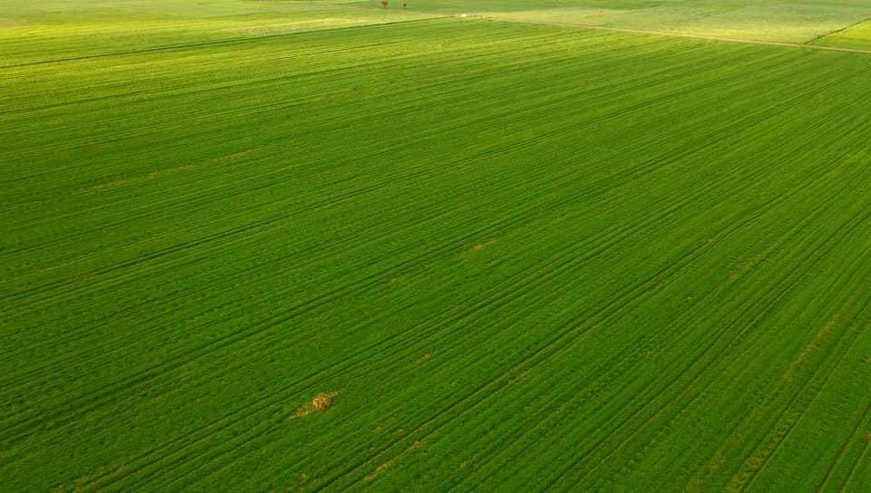 AbiyAhmedAli's tweet photo. This year’s summer wheat productivity in progress. https://t.co/lgjB9mmN9q