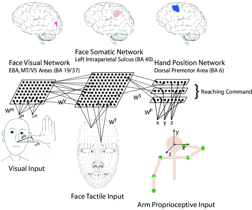 NeurologistCli1's tweet photo. 👉👉👉Call for paper
we are accepting research article /paper for our upcoming issue of our journal.
#Neurocomputation
#usa
#chaina
👉👉Manuscript Submission:
https://t.co/1QamhhaIja https://t.co/aUNXP0BfV5