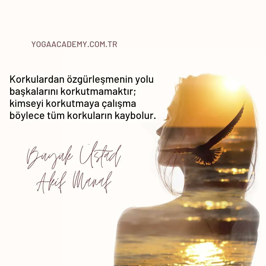 The way to be free from fears is to not scare others; do not try to scare anyone and all fears will disappear.
AKİF MANAF