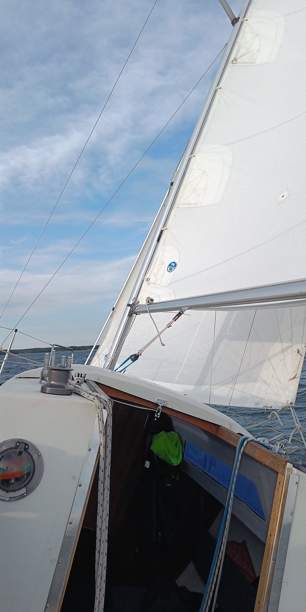 s/y Helvi tweet media