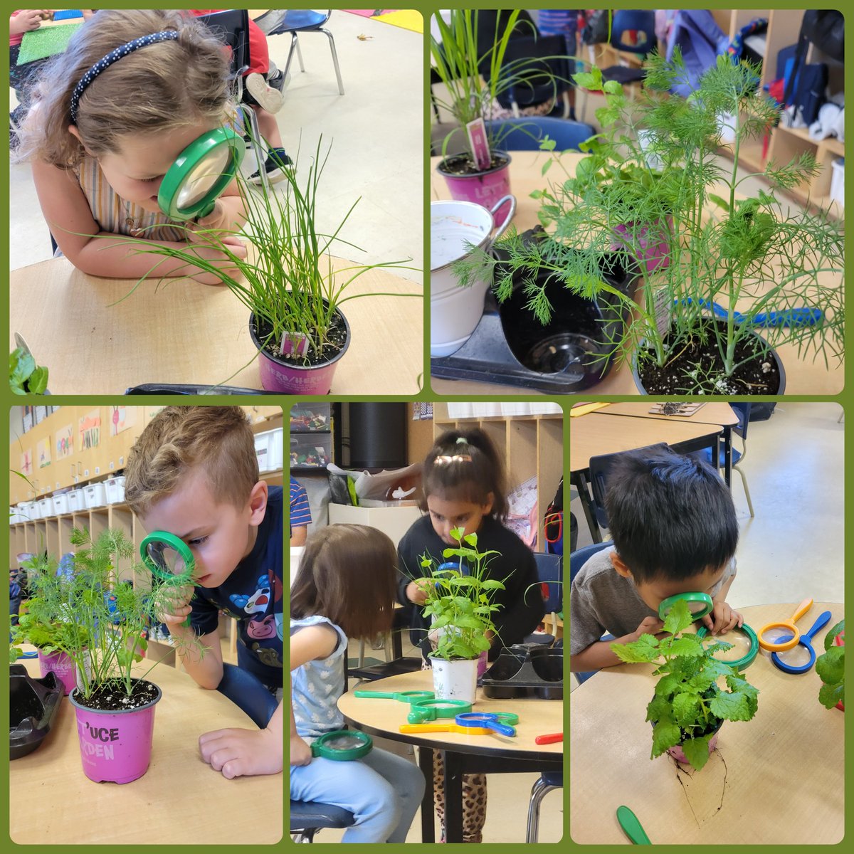 Miss. LePage tweet media