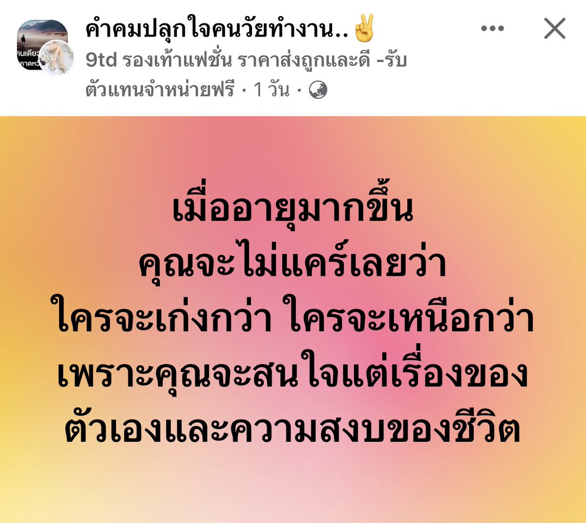 เอโคโอเค tweet media
