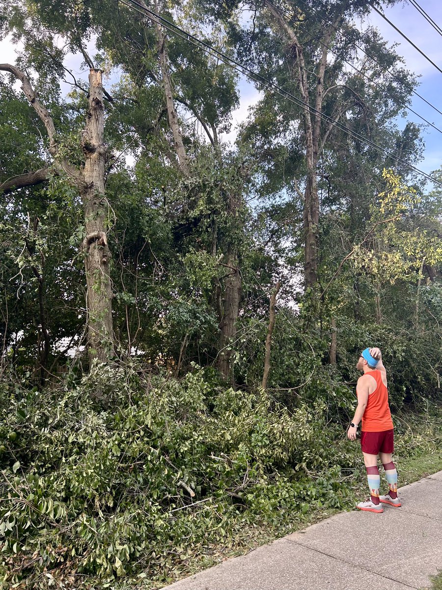 Surveying today’s damage from Wolf Tree (@DaveyTree), @CityofTLH, & @LeonCounty. Seems half trees are all the rage. 

5K w/the boy.

📷: @biggirl_biggoal.

#teamnuun #HSHive #PROAlumni #SquirrelsNutButter #TeamROADiD #TeamULTRA #JoyWins #LeagueOfGarmin #RunChat #IHeartTally