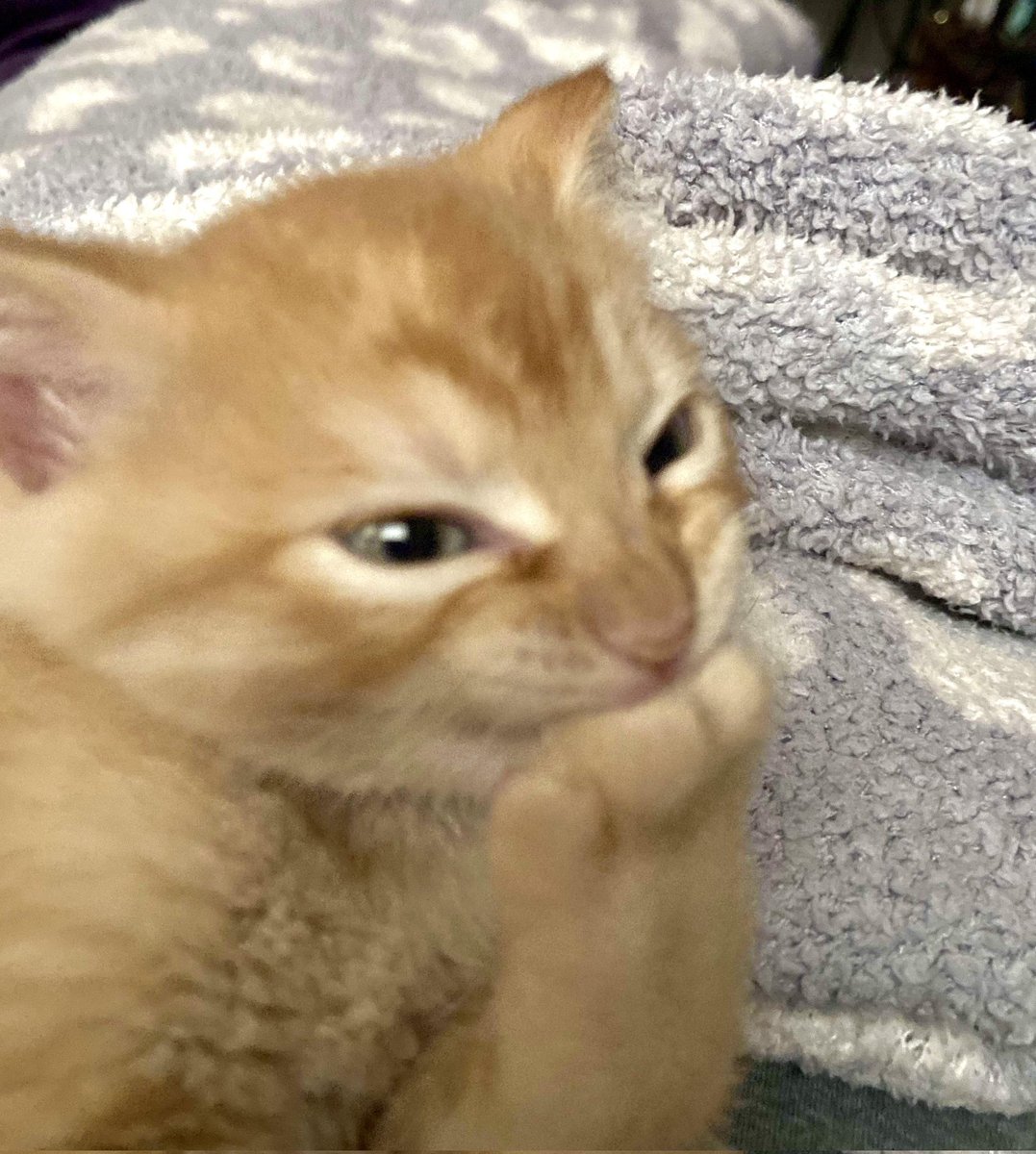thinking evil thoughts