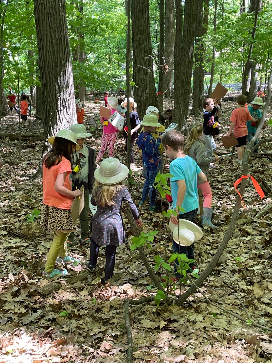 Webber Elementary tweet media