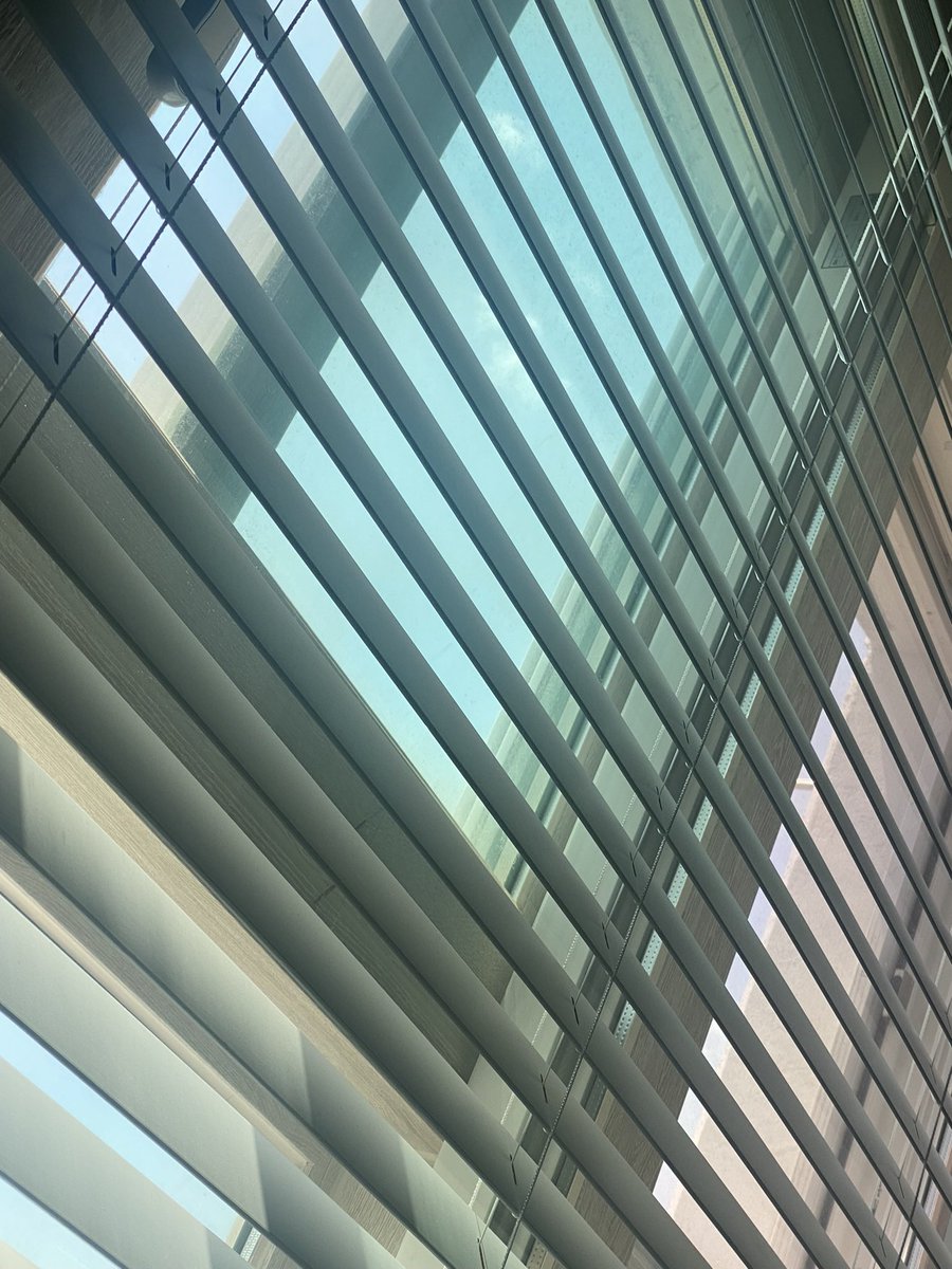 좋은 아침입니다