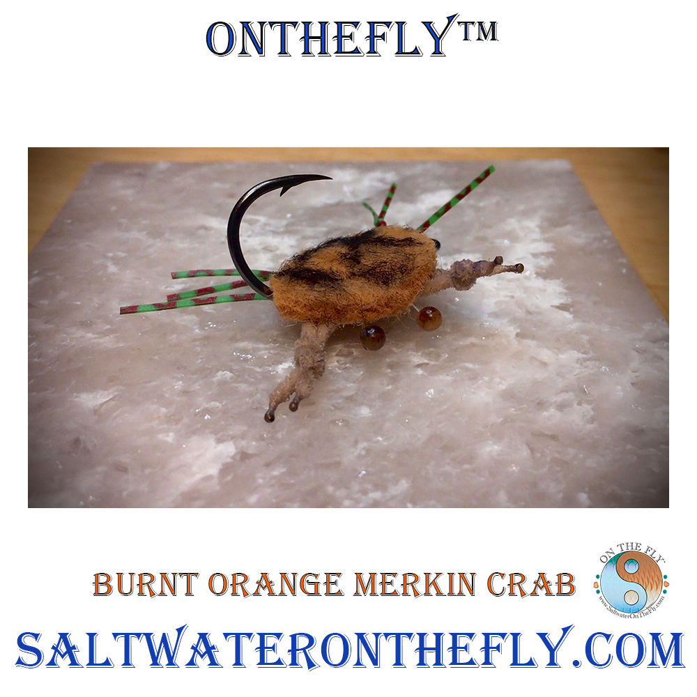 Burnt Orange Merkin 
American Tied 
saltwateronthefly.com/.../burnt-oran…
:
#flies #saltwaterflies #onthefly #saltwateronthefly #flyfishing #flytying #madeinamerica #redfish #getoutside #bonefish #saltwaterflyfishing #travelandleisure #travelandtourism
#tarponfishing #permitfishing