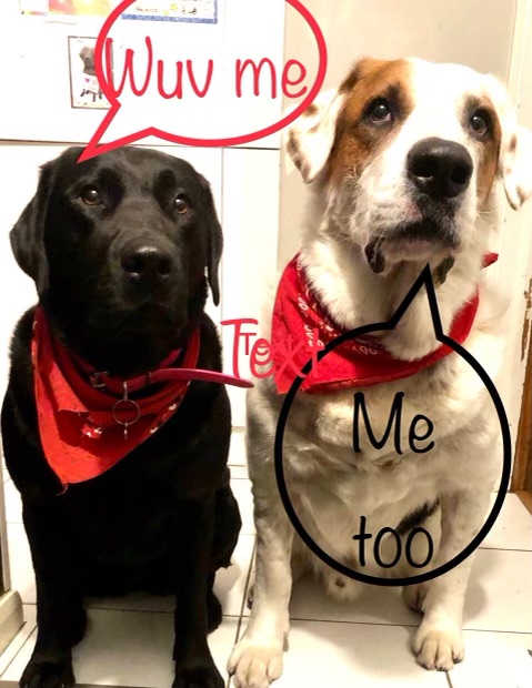 Private healthcare in Canada. If you want to get a feel for it, get a dog. You love them, you do what's needed, and you pay out of your nose. It's not "innovation", "choice" or "freedom" as some suggest, it's big hole in your wallet until you're forced to draw a line.
