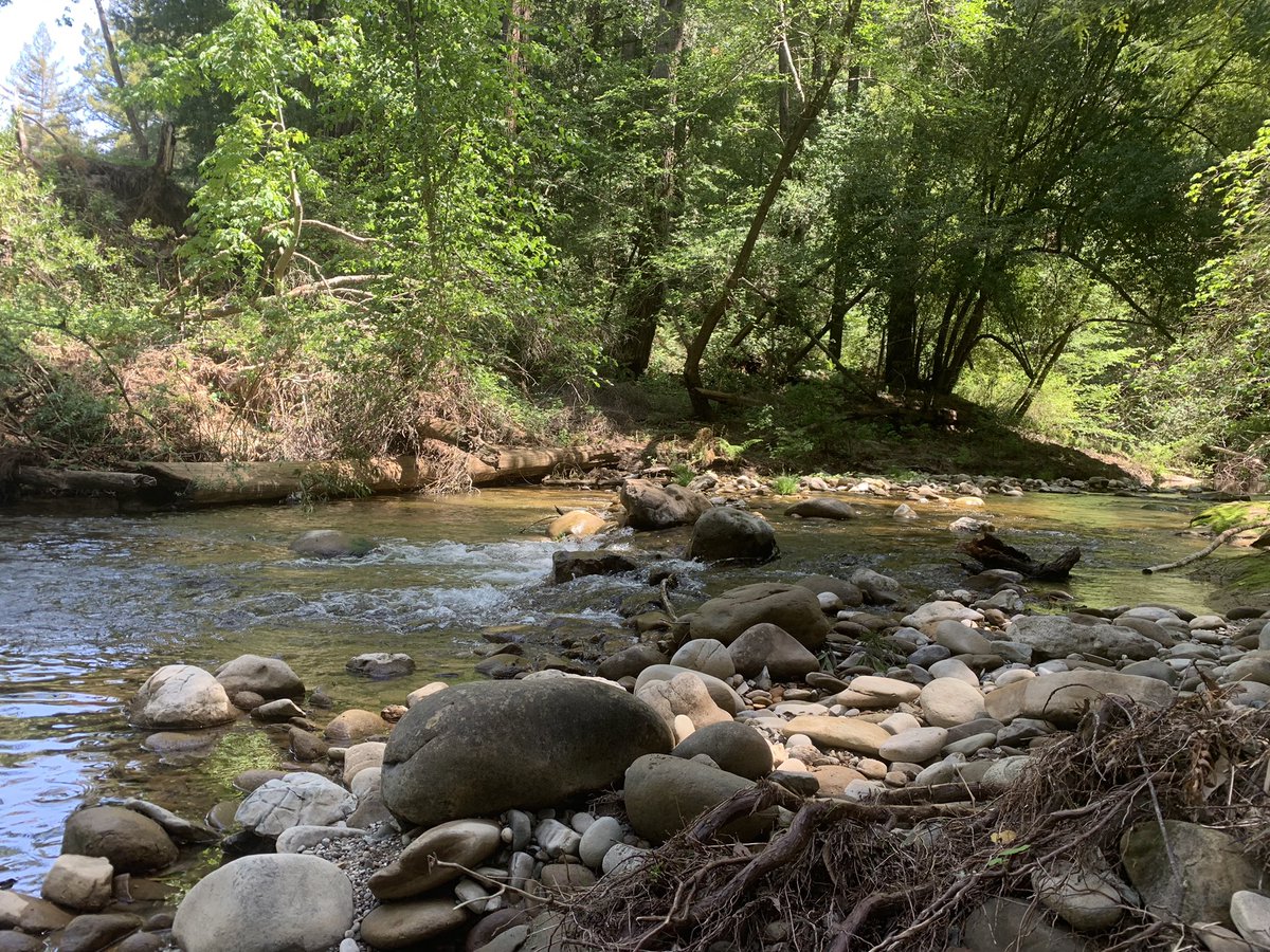 I’m kind of out of ideas so  dming  submissions would be nice 
Anyways here’s a nice picture I took from my most recent trip