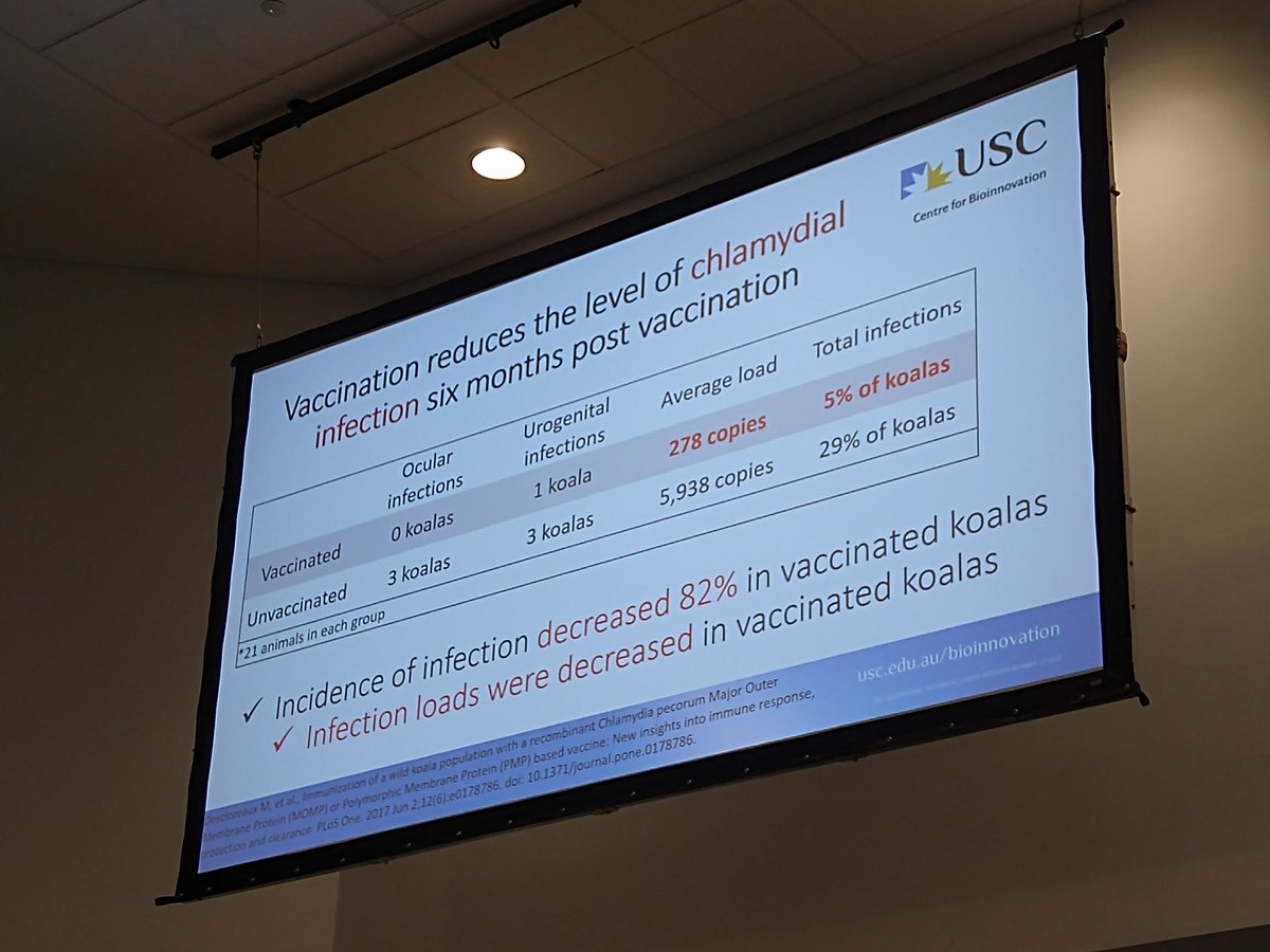Koala News & Science (@science_koala) on Twitter photo Prof Peter Timms presents impressive results from chlamydia vaccinations in koalas. National Koala Conference <a href="/ResearchUSC_AU/">Research at USC</a> <a href="/HospitalKoala/">Koala Hospital</a> #koalaconference Prof Peter Timms presents impressive results from chlamydia vaccinations in koalas. National Koala Conference <a href="/ResearchUSC_AU/">Research at USC</a> <a href="/HospitalKoala/">Koala Hospital</a> #koalaconference