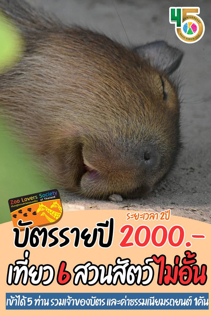 KhaokheowZoo's tweet photo. 2⃣ ปี  2⃣0⃣0⃣0⃣.- บัตรครอบครัว
เที่ยว 6 สวนสัตว์ แบบไม่อั้น
สมัครได้ที่ Inbox: https://t.co/qfwVTNvGZa

เที่ยว 6 สวนสัตว์ 
- สวนสัตว์เปิดเขาเขียว สวนสัตว์เชียงใหม่ สวนสัตว์นครราชสีมา สวนสัตว์สงขลา สวนสัตว์อุบลราชธานี และ สวนสัตว์ขอนแก่น
- เข้าเที่ยวชมได้ 5 ท่าน+รถยนต์ 1คัน https://t.co/hQwUINOZ9d