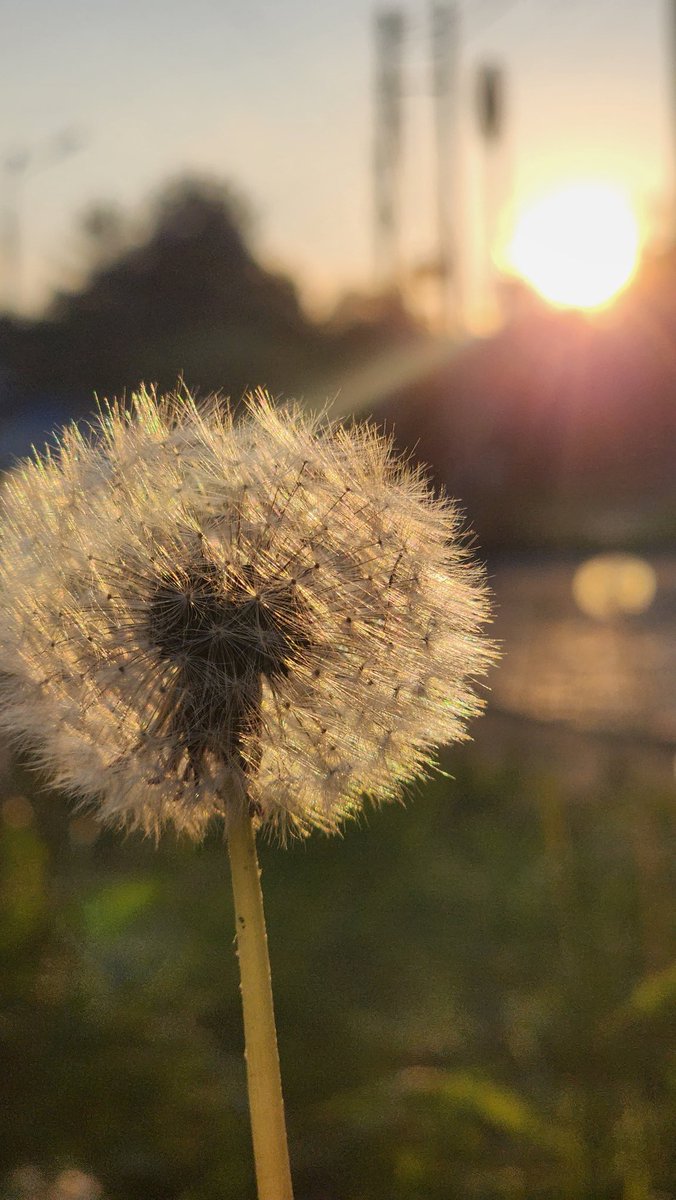 sagaradyumna (@sagaradyuma108) on Twitter photo 