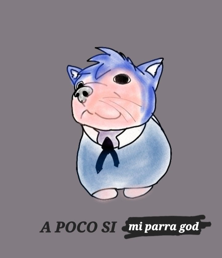 PARRA ✨ tweet media