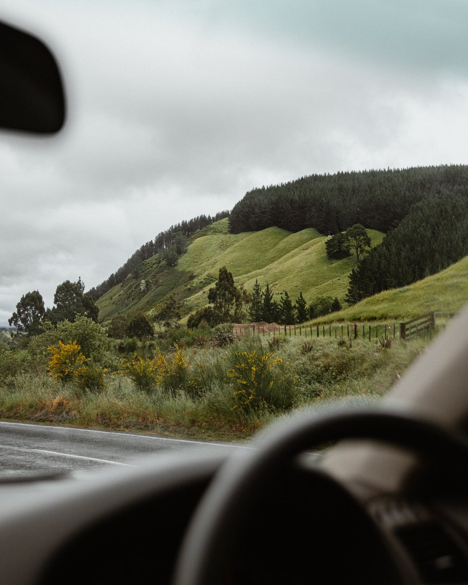 Dane Deaner tweet media