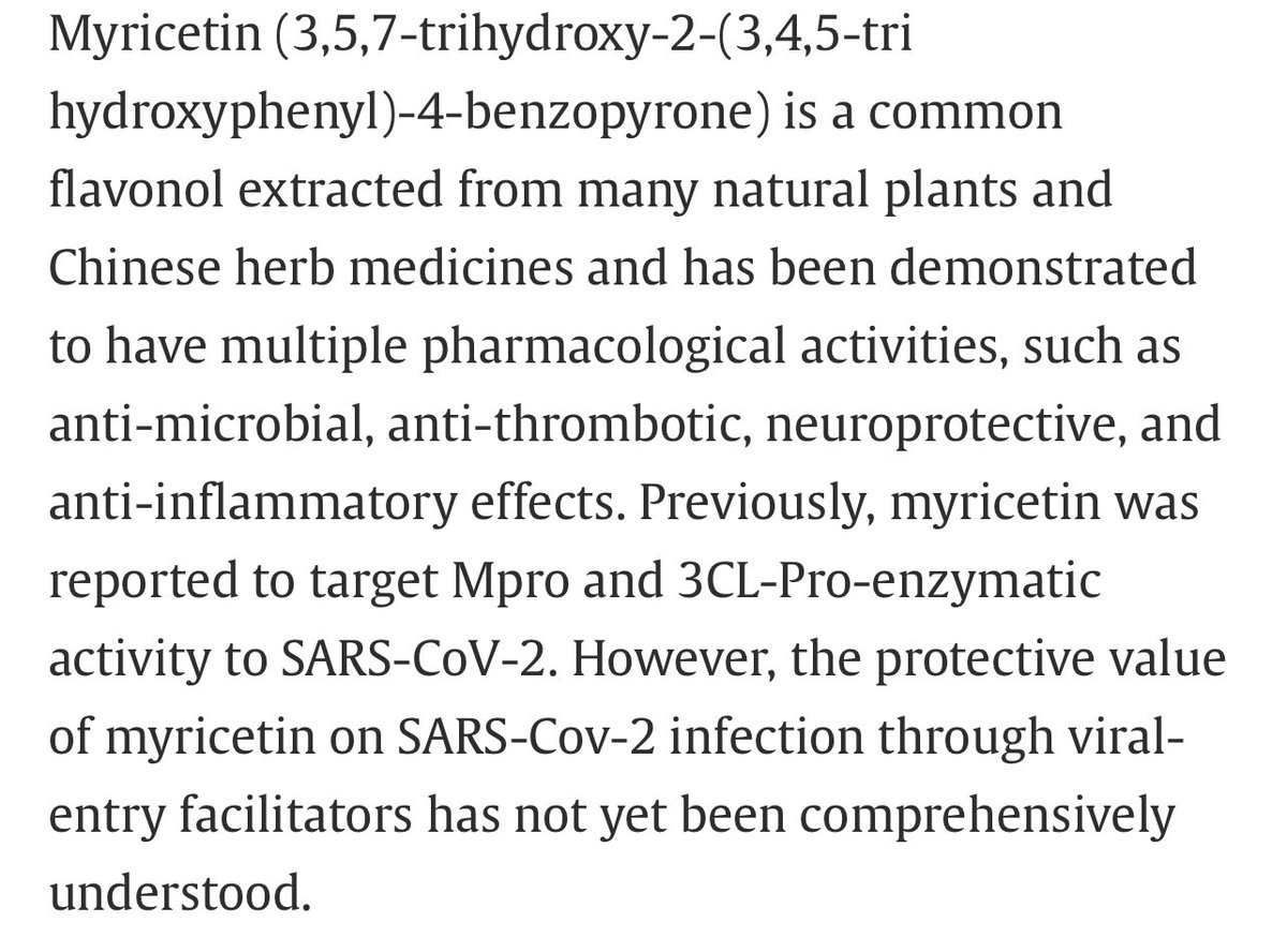 Dr. León Islas Weinstein tweet media