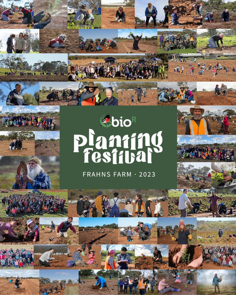 Join 100s of passionate South Aussies reconstructing habitat for biodiversity this June! 🌱💚🙏

bior.org.au/23