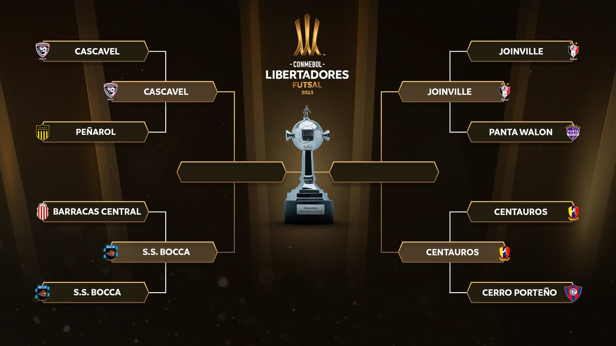 CONMEBOL Libertadores Futsal tweet media