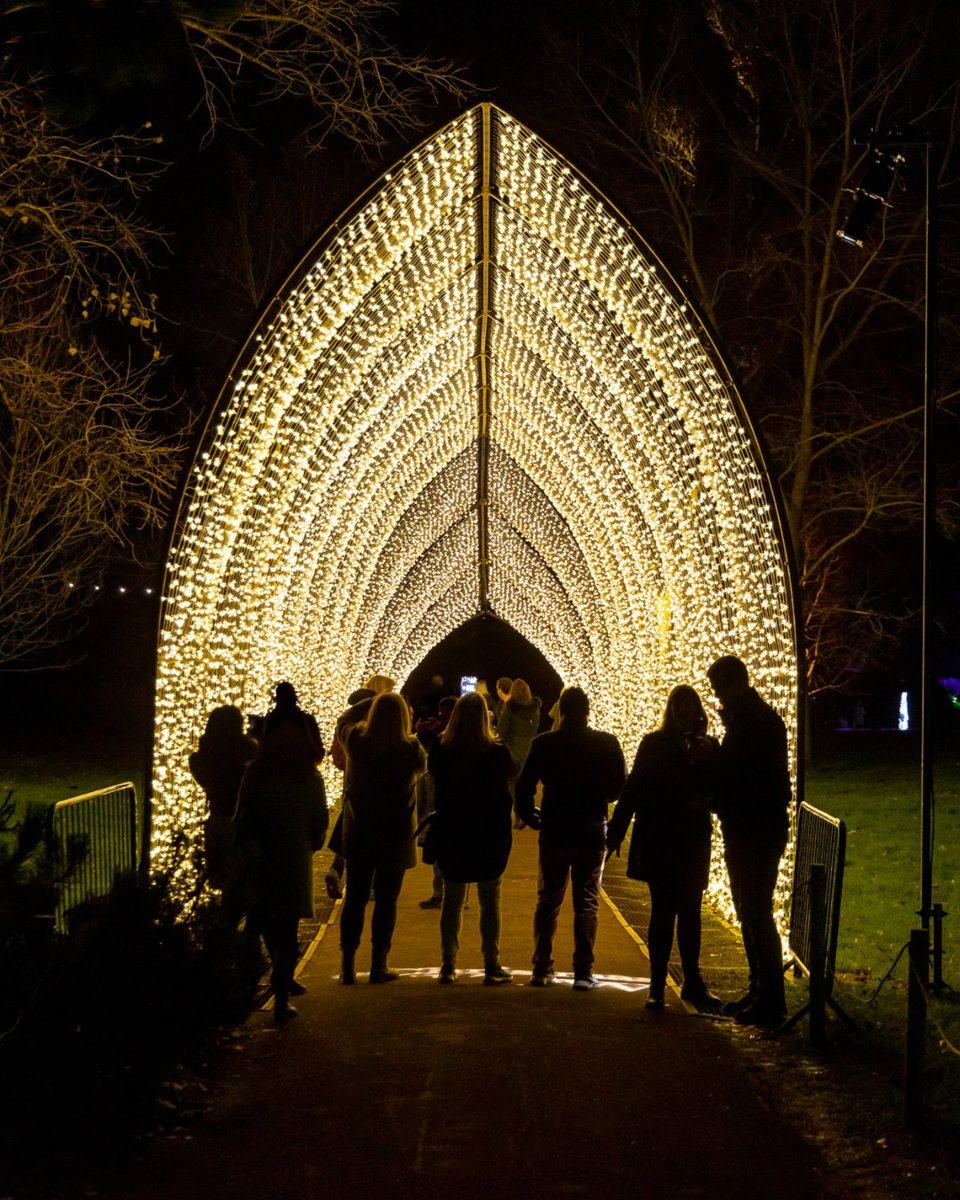 You see a long tunnel... but it is made of light! 🤩 The Winter Cathedral will make the perfect 'grammable shot this winter when Lightscape illuminates the WA Botanic Garden 🤳 Get your tickets lightscapeperth.com.au Lightscape: powered by the City of Perth ✨ 📷 Sony Music