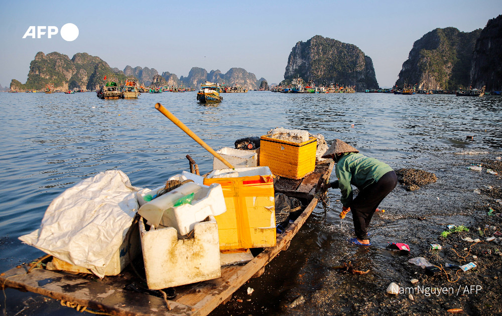 AFP's tweet photo. Vietnam battles plastic blight in idyllic Ha Long Bay.

Since the beginning of March, 10,000 cubic metres of rubbish -- enough to fill four Olympic swimming pools -- have been collected from the water, according to authorities

https://t.co/iQk051frYU https://t.co/scBrsIUNS0