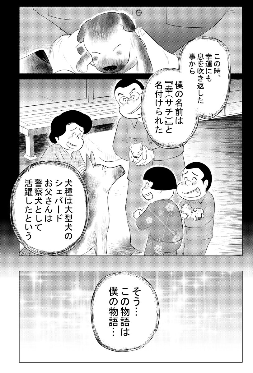 ①戦争めし『軍犬 幸の物語』前編  前編・後編に分かれていて 1話 16Pあります(前・後編で32P)  4回に分けて更新します  どうぞよろしくお願いいたします。  ②につづきます