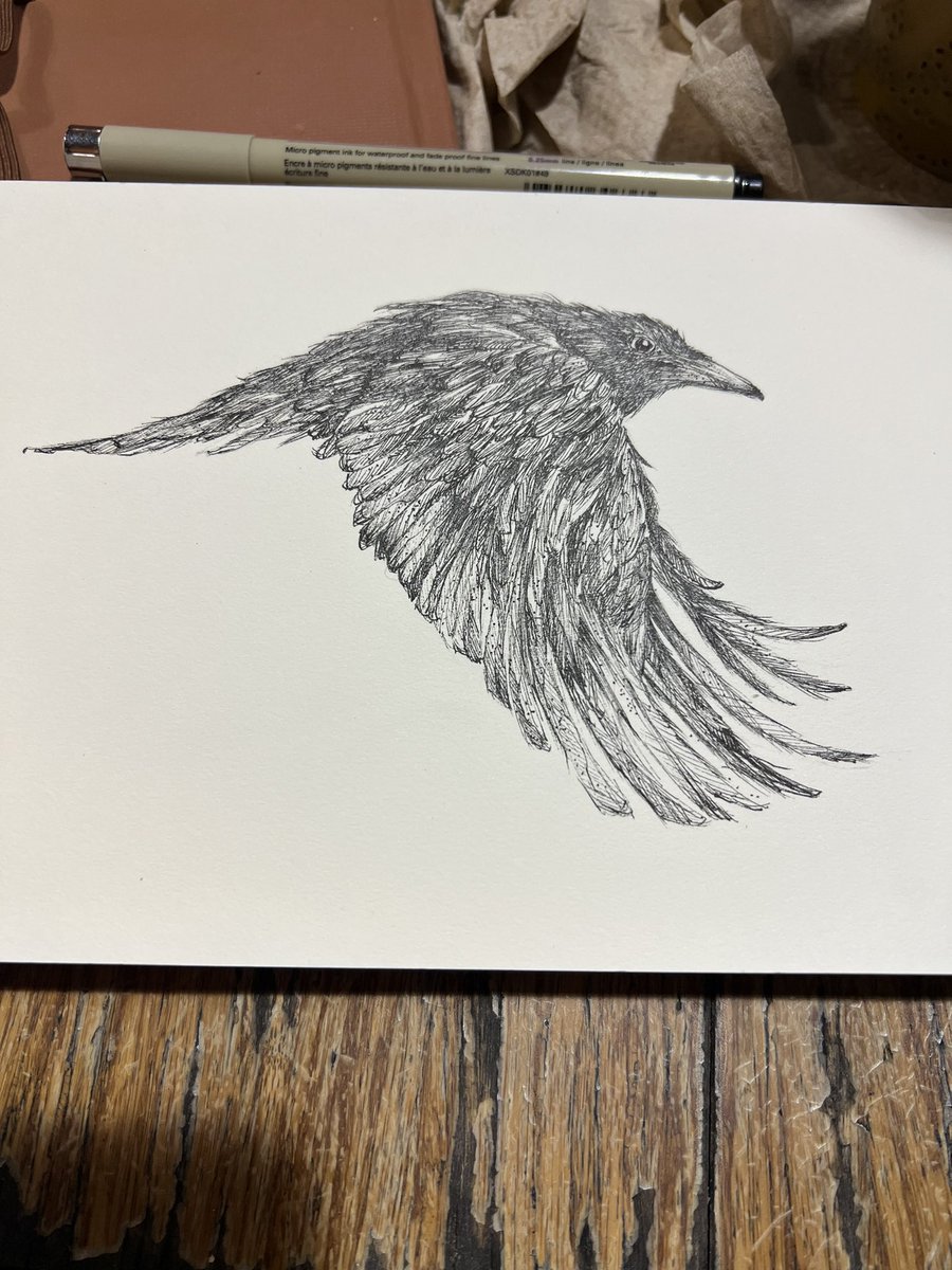 @NftPeperoncino Yep— Raven again! WIP… pen and ink drawing #penandinkdrawing