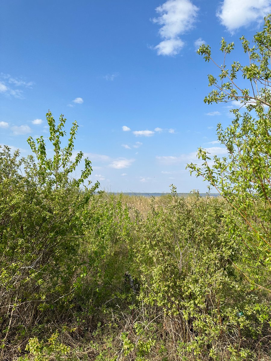 Darby Flynn tweet media