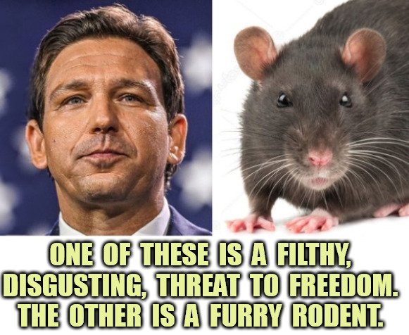 @QuestBlackbeard Ron  'Adolf' DeSantis 'Hitler' is UNFIT, unsuited, out of touch and dangerous  to our democracy. Doesn't he know that 75% of Americans absolutely  DETEST what he has been doing in Florida. Book bans, Anti-Gay laws,  Anti-Trans laws, fascist private army, Anti-business. He's UNFIT
