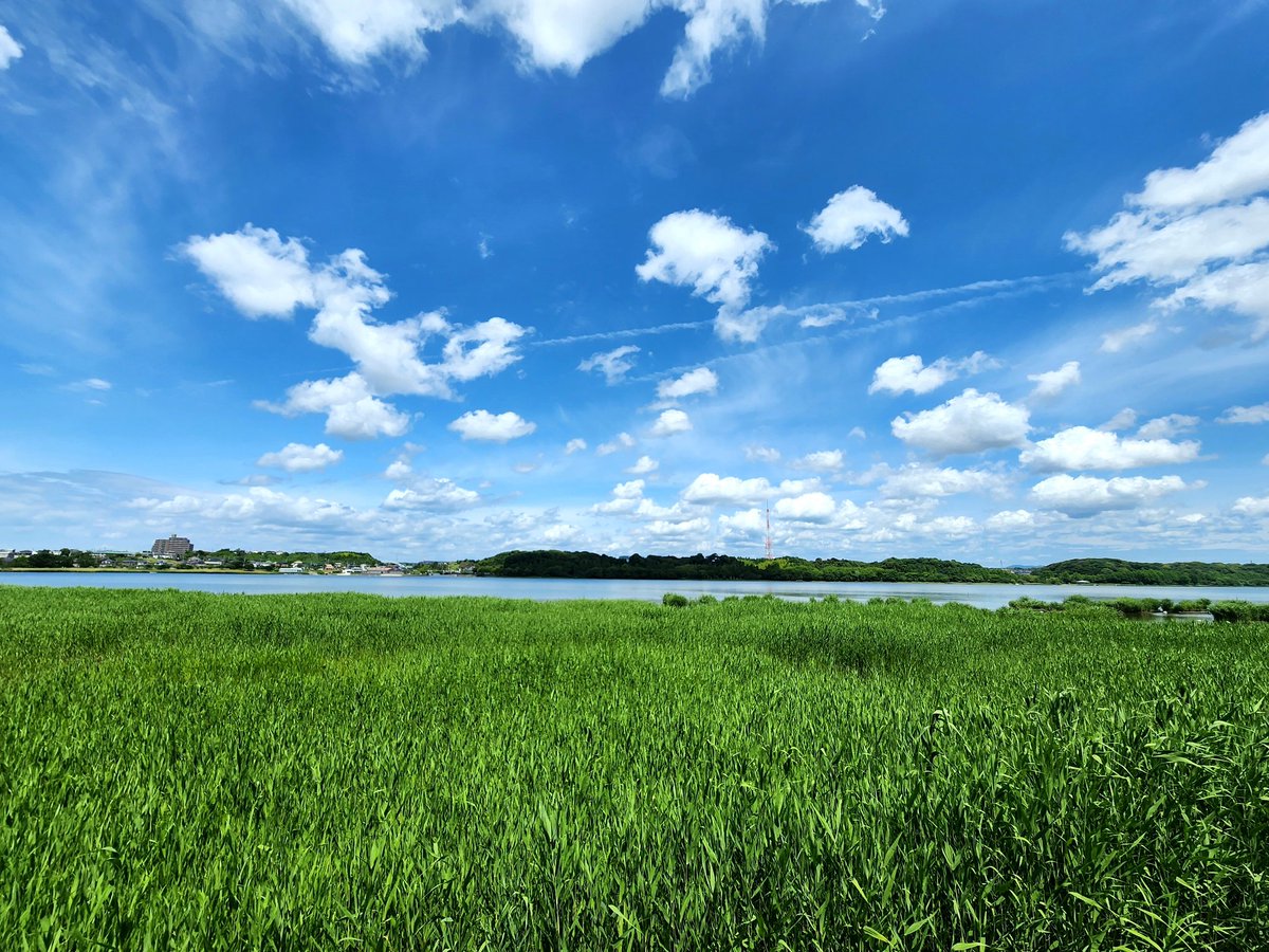 Zorexoserez's tweet photo. It is another beautiful day in Hamamatsu.☀️
Have a nice day.🎶
#佐鳴湖
#浜松
#浜松散歩
#ウォーキング
#お出かけ
#hamamatsu
#walking
#slowjogging
#intervalrunning https://t.co/m0LtQFG8Y2