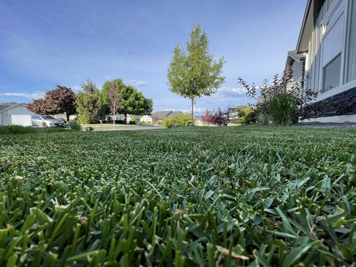 JSGoose11's tweet image. Full reels out tonight in honor of #MemorialDayWeekend. 🇺🇸 Ideal conditions produce ideal results. Well done League…well done 👏🏼 @OutKickTNML 

🌾✂️ @truCutmowers
🎶 Jahman Playlist/Spotify
🕶️ @smithoptics 
☀️ 73°
🍺 RPM @BoneyardBeer 
👟 @HeyDudeShoes