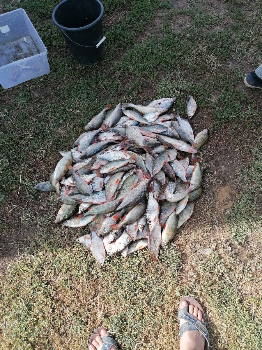 Albert Wilfred (@albertwilf94664) on Twitter photo 