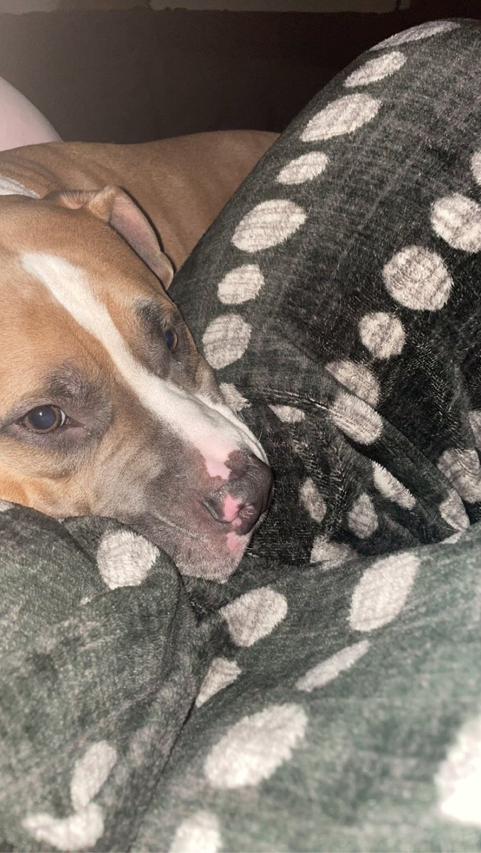 frozenripples's tweet photo. @PondAnonFren Say sorry to my pit fren n I’ll stop harassing u https://t.co/vmSgqZ9ttv