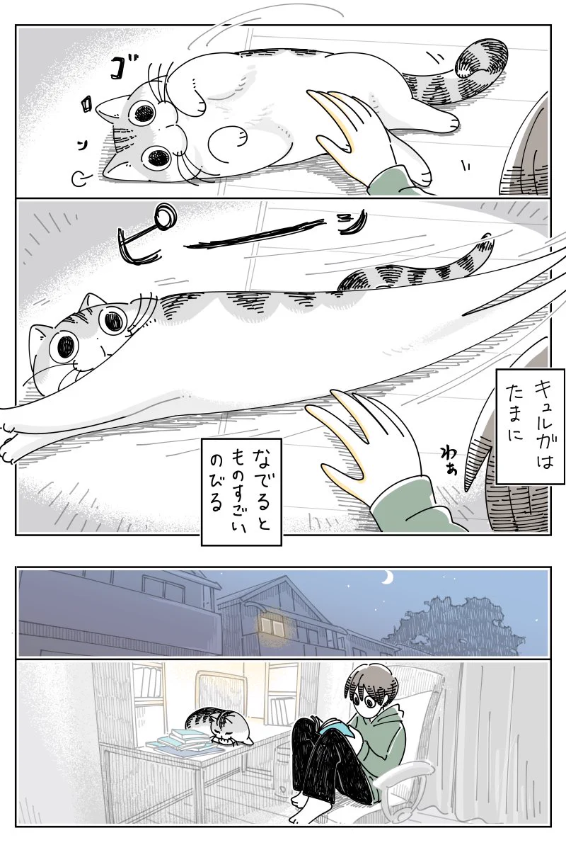 撫でられて伸びる様子が可愛すぎる･･･！とっても可愛い「猫漫画」が話題に！