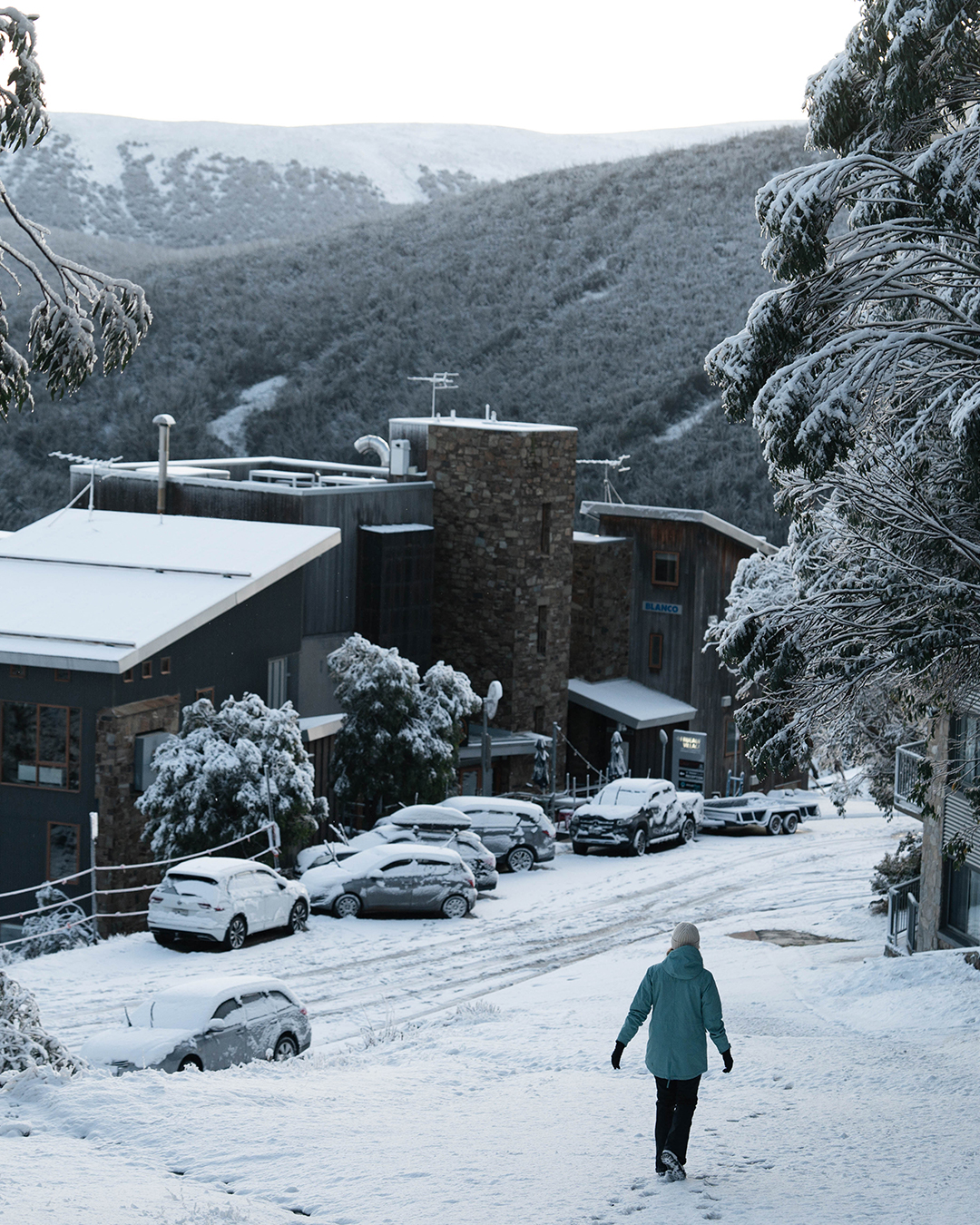 Falls Creek Official (fallsaustralia) / Twitter